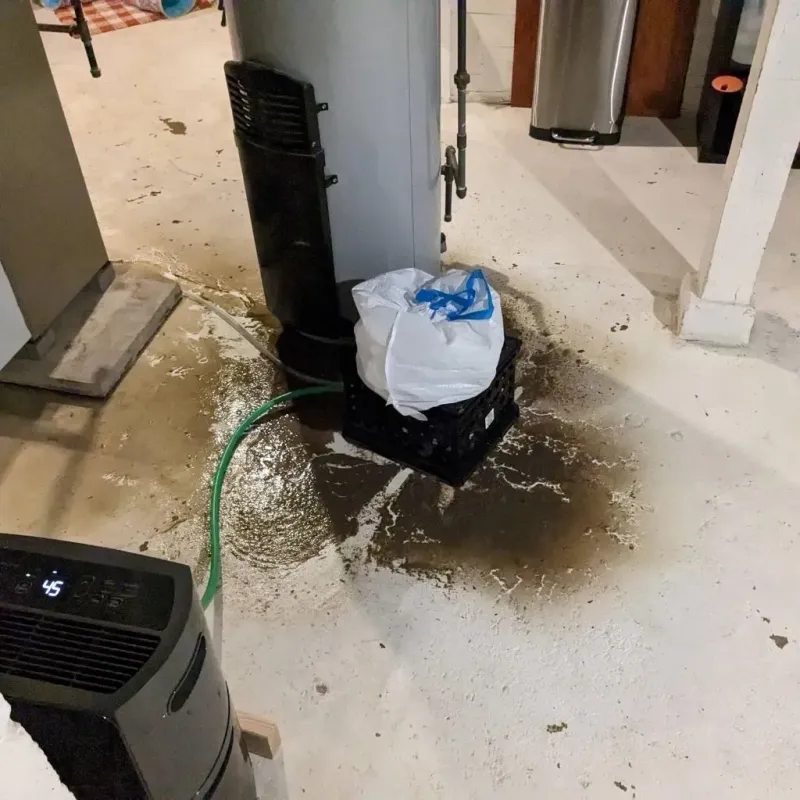 Sewage Backup Cleanup Service in Lincoln County, MS